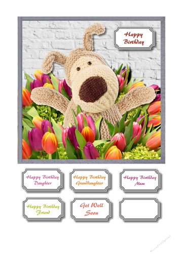 Tiptoe through the tulips Boofle