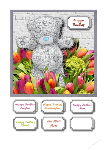 Tiptoe through the tulips Tatty teddy