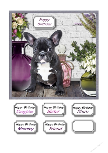 French bulldog and flowers