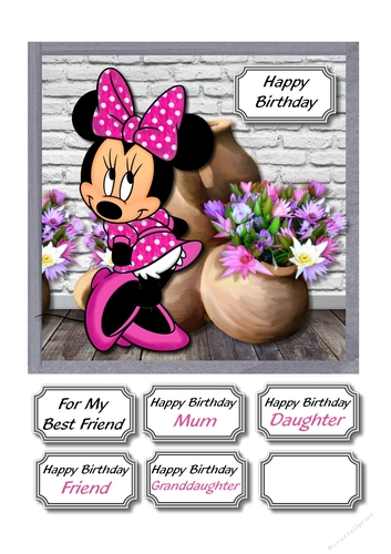 Minnie mouse with terracotta pots