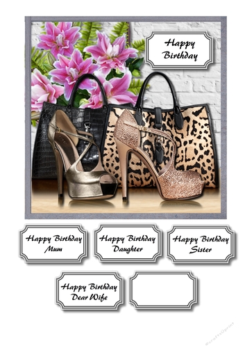 Designer bags and shoes 2
