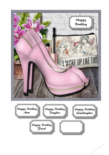 Makeup bag and shoes