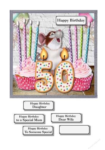 50th birthday cupcakes and mouse