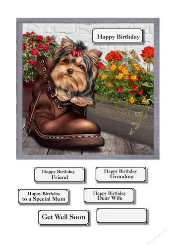 Dog with boot and flowers birthday or get well soon