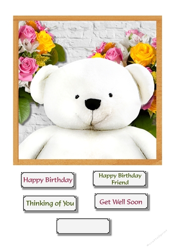 Teddy with flowers for various occasions