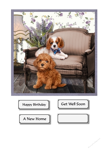 Cute dogs birthday, get well or new home