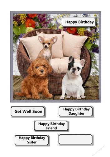 Who let the dogs out