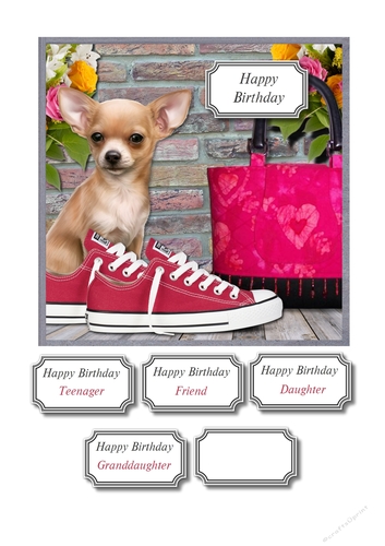 Dog, Converse and bag