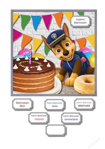 Paw Patrol birthday boy