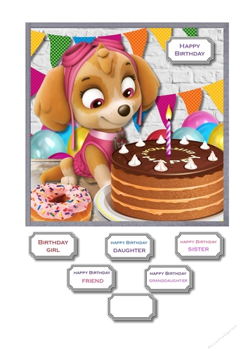 Paw patrol birthday girl