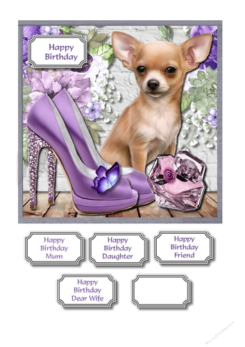 Cute dog with lilac accessories