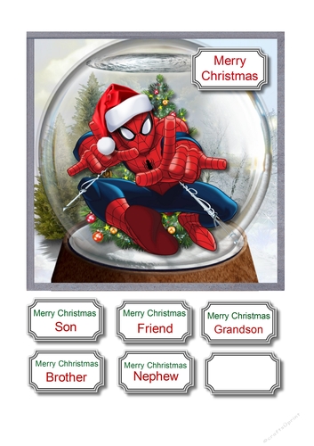 Spidernan Christmas Snow Globe