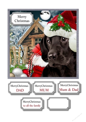Waiting for Santa Paws
