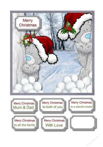 Tatty teddies snowball fight