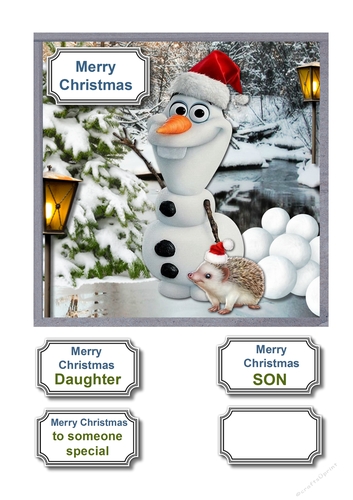 Olaf with little hedgehog Christmas
