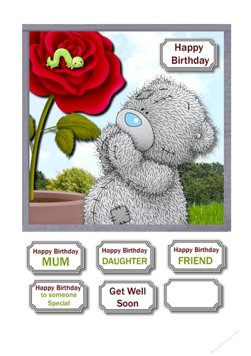 Tatty teddy with rose
