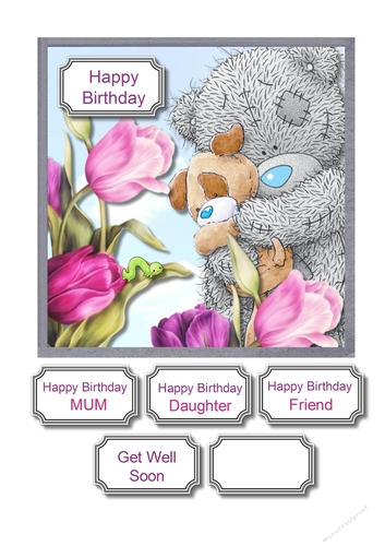Tatty teddy with dog tiptoe through the tulips