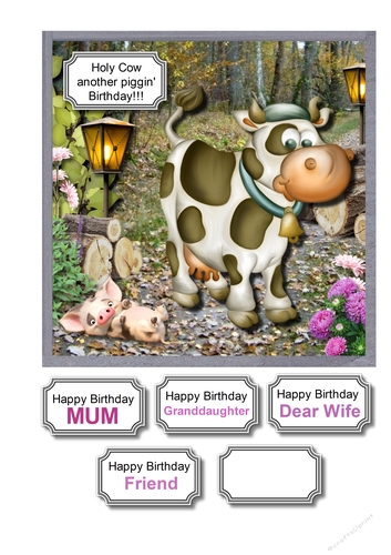 Holy Cow another piggin birthday