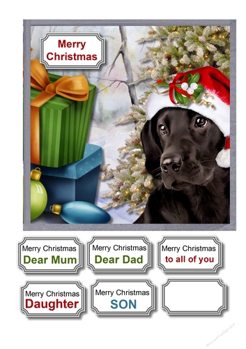 Christmas dog waiting for Santa