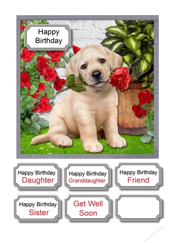 Labrador pup with roses
