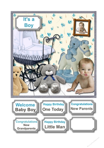 New Baby Boy