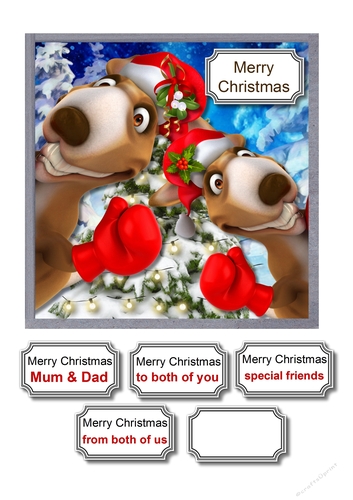 Cheeky Christmas Kangaroos