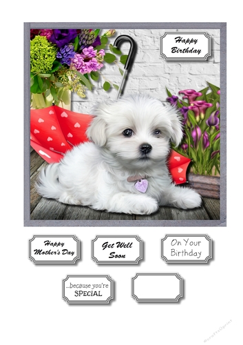 Cute dog with flowers