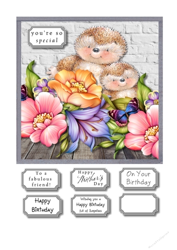 Hedgehogs and flowers