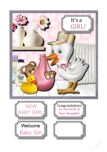 New Baby Girl
