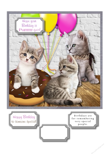 Purrrrr-fect Birthday
