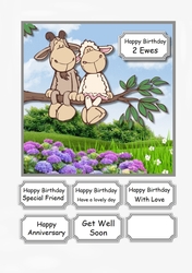 2 Ewes