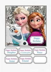 Frozen Birthday