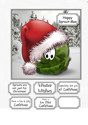 Sprouts are not just for Christmas!