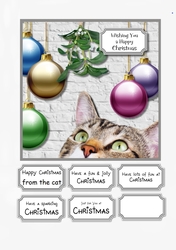 Christmas Cat 2