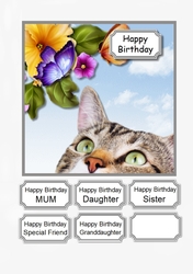 Cat Birthday with butterfly