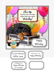 Cheer Up, youre only one day older than you were yesterday!