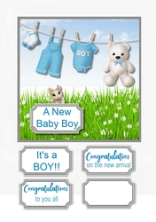 New Baby Boy