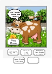 Holy Cow! Youre how OLD???