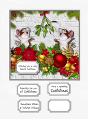 Christmas kiss under the mistletoe