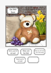 Teddy Bear