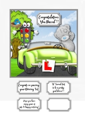 Tatty Teddy Congrats on passing your driving test