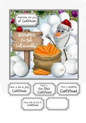 Snowmen for sale....self assembly required