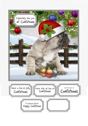 A Puppy is not just for Christmas