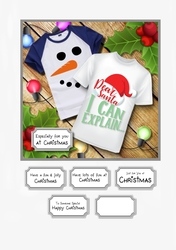 Dear Santa....I can explain