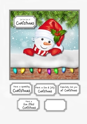 Snowman peek a boo
