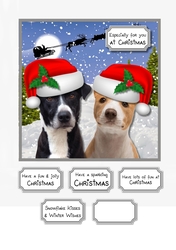 Santa Paws is coming