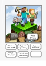 Minecraft Birthday