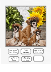 Beautiful Boxers card topper