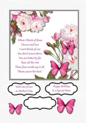 Mum Birthday or Mothers Day