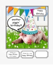 Another piggin birthday